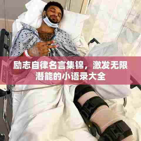 励志自律名言集锦，激发无限潜能的小语录大全