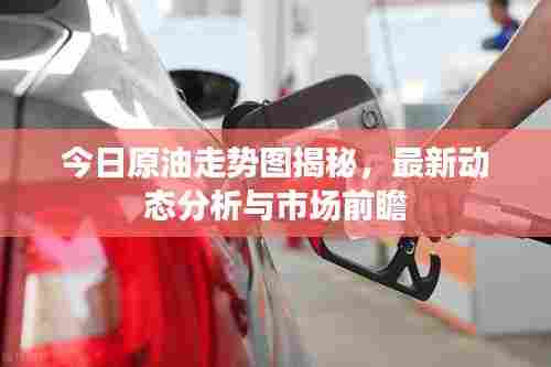 今日原油走势图揭秘,最新动态分析与市场前瞻