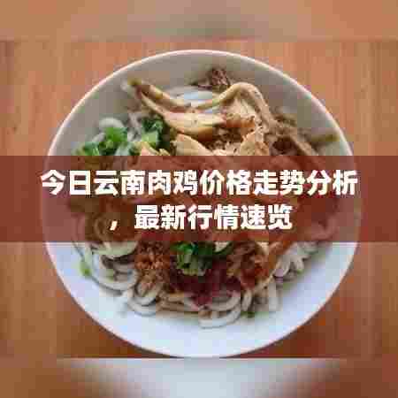 今日云南肉鸡价格走势分析,最新行情速览