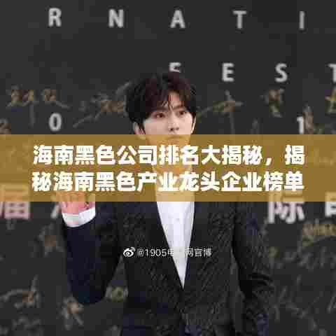 海南黑色公司排名大揭秘，揭秘海南黑色产业龙头企业榜单