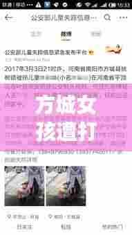 方城女孩遭打事件揭秘，最新视频汇总与事件深度探讨