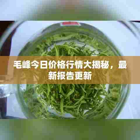 如鸟兽散 第2页
