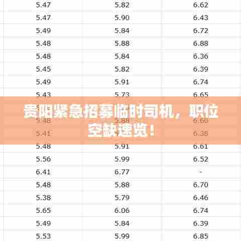 贵阳紧急招募临时司机，职位空缺速览！