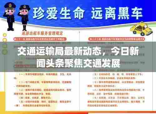交通运输局最新动态，今日新闻头条聚焦交通发展